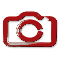 Bryllupsfotograf Aarhus | Bryllup i Østjylland